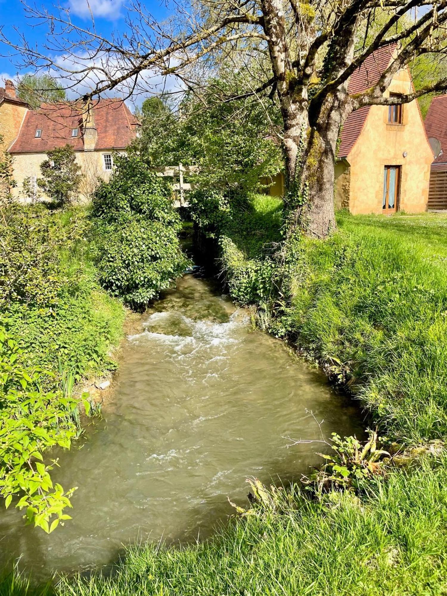 Villa Le Moulin Aux Ans Archignac Exterior foto
